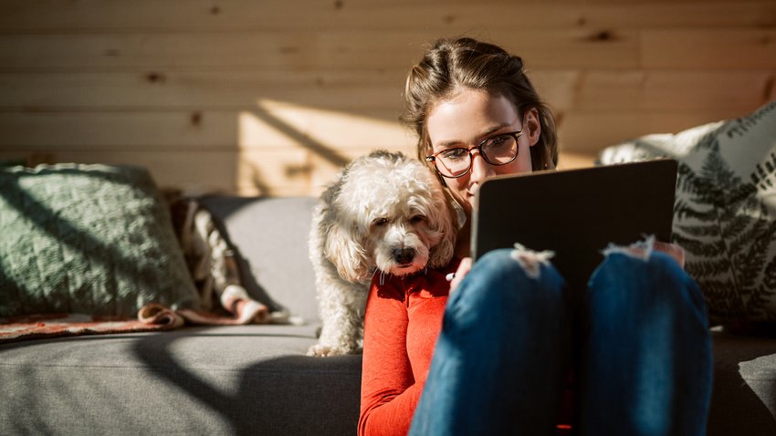 Female Artist Drawing At Home In Company Of Her Cute Poodle Dog