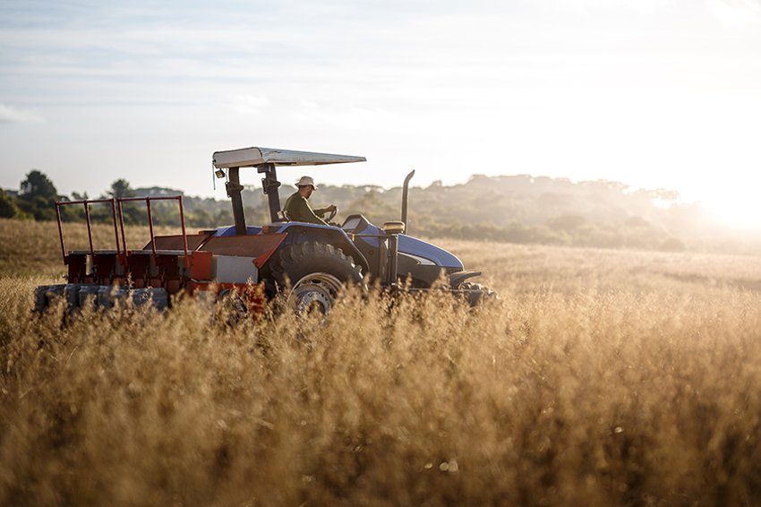 953577456 Tracteur et son conducteur dans un champ de blé